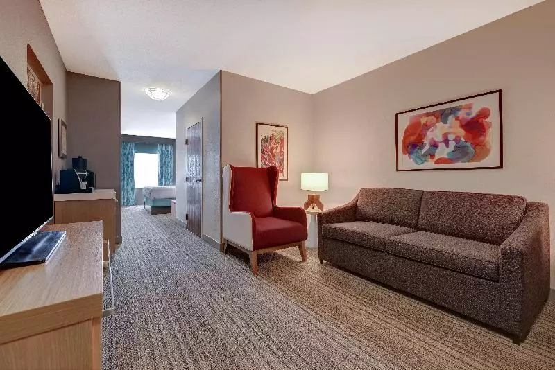 キングサイズベッドのスイートルーム, Hilton Garden Inn Tampa Northwest/oldsmar