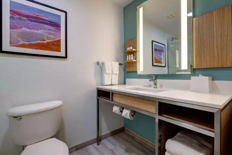 キングサイズベッドのスタンダードルーム, Hilton Garden Inn Tampa Northwest/oldsmar