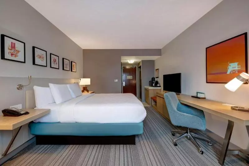 キングサイズベッドのスタンダードルーム, Hilton Garden Inn Tampa Northwest/oldsmar
