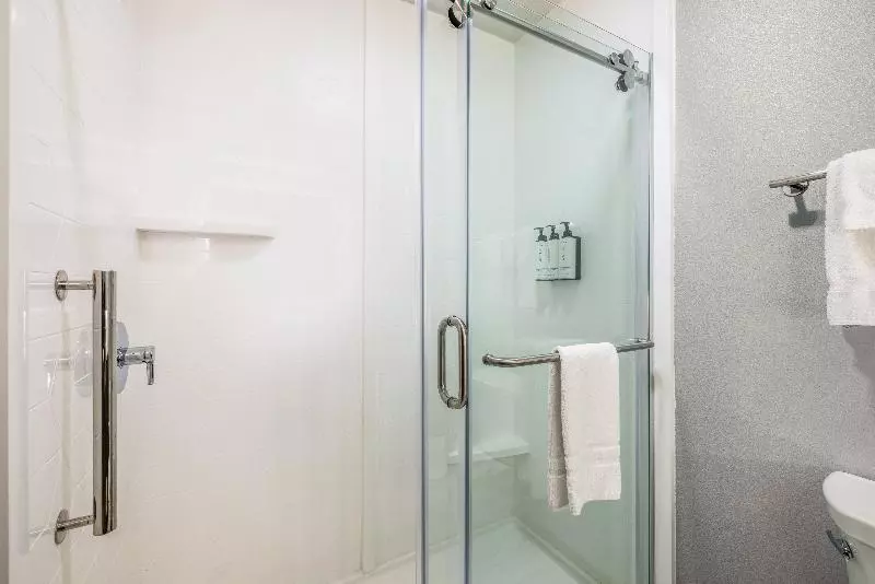 スタンダードルーム, Hilton Garden Inn Tampa Northwest/oldsmar