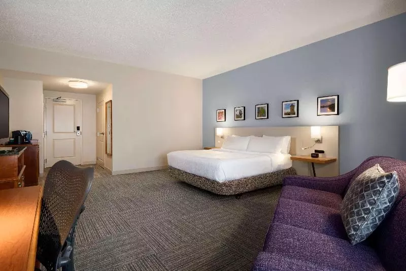キングサイズベッドのスタンダードルーム, Hilton Garden Inn Wilkes Barre