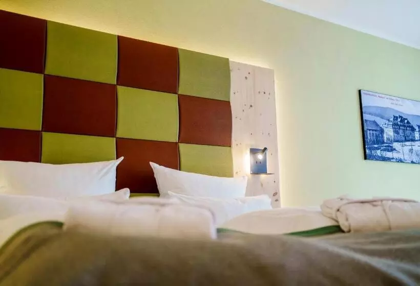 １ベッドルームアパートメント, Rathaushotels Oberwiesenthal All Inclusive