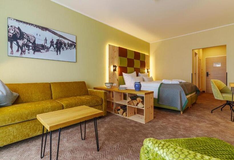 דירת חדר, Rathaushotels Oberwiesenthal All Inclusive