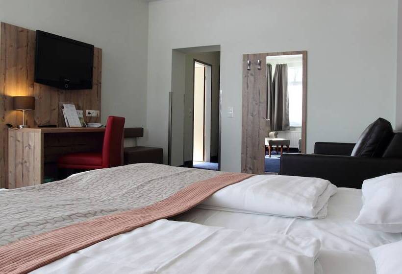 חדר סטנדרט יחיד, Rathaushotels Oberwiesenthal All Inclusive