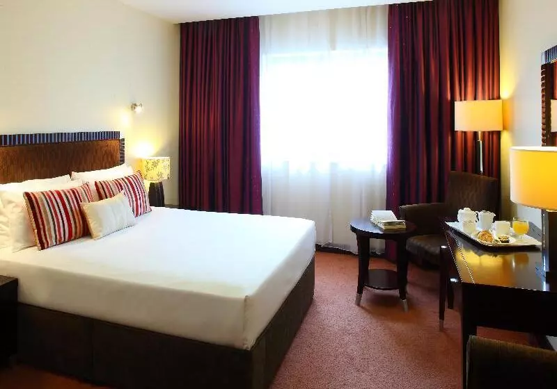 Standard Yhden Hengen Huone, Mcgettigan S Hotel Letterkenny