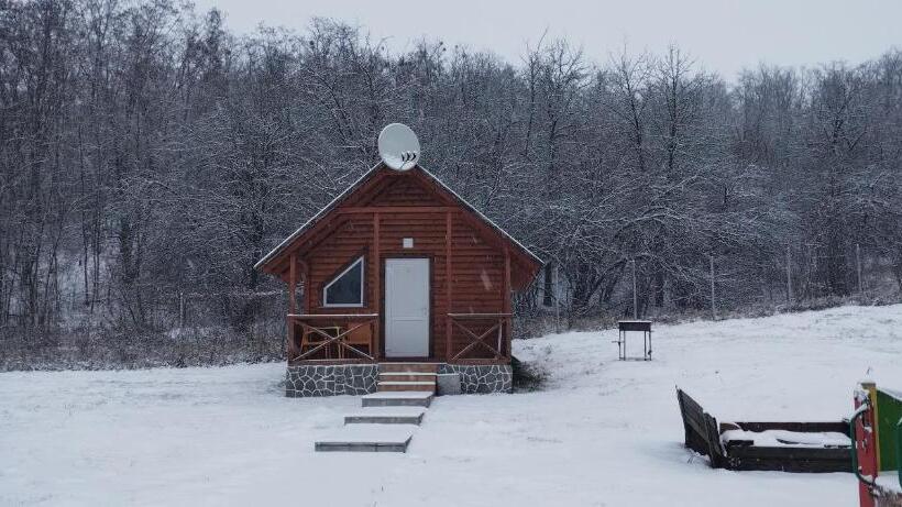 패밀리 룸, шафран