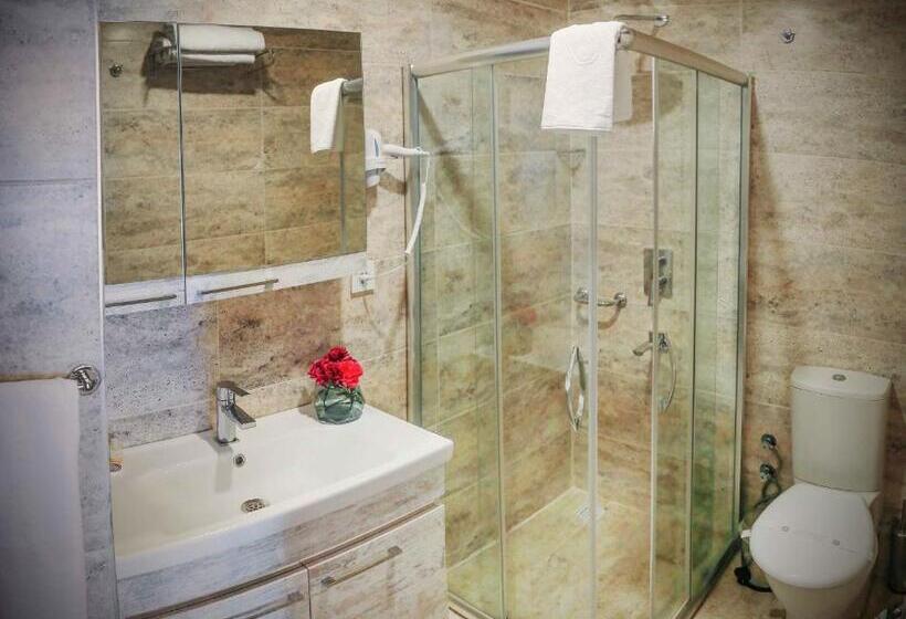 ベーシックトリプルルーム, Burçman Hotel Vişne