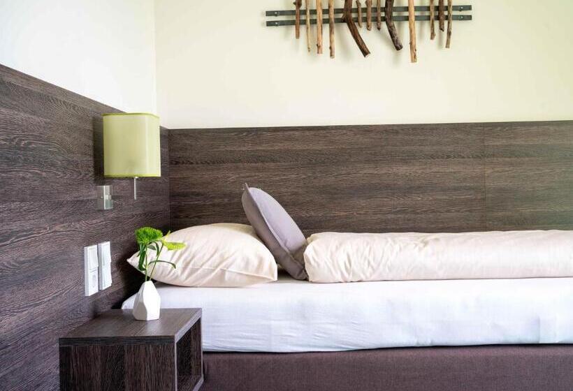 חדר סטנדרט יחיד מותאם לאדם עם מוגבלויות, Eee Hotel Gunskirchen