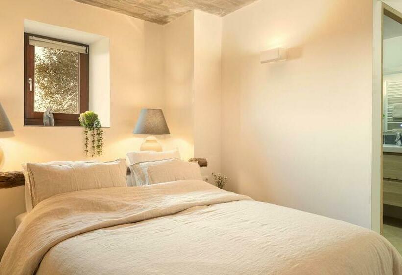 غرفة قياسية, Mas Oms