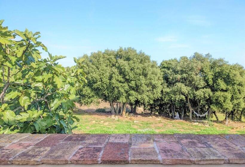 غرفة ديلوكس سرير كينج, Mas Oms