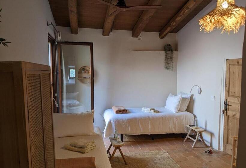 غرفة قياسية رباعية, Mas Oms