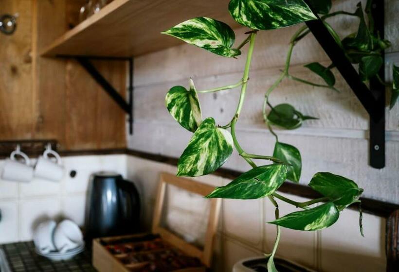 كابينة, The Ranch Mornington Peninsula