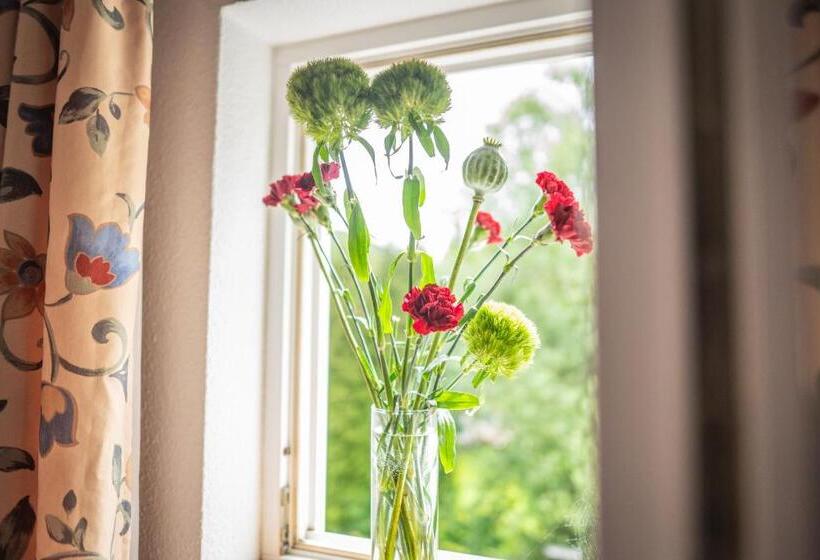 Номер Deluxe Одноместный, Gasthof Alte Schmiede G Luckendorf