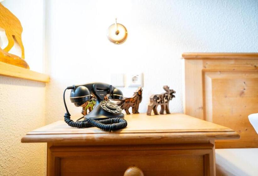 Номер Deluxe Одноместный, Gasthof Alte Schmiede G Luckendorf