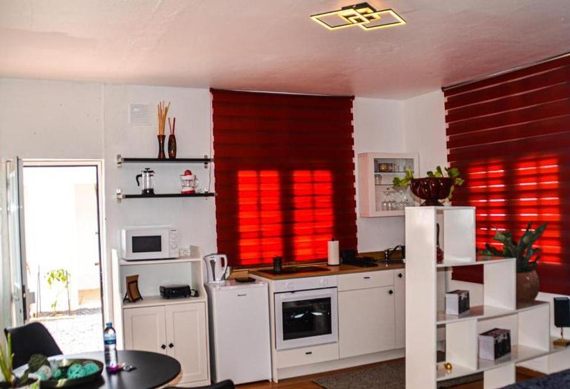 스탠다드 스튜디오, Rural Ga7colores Only Adult