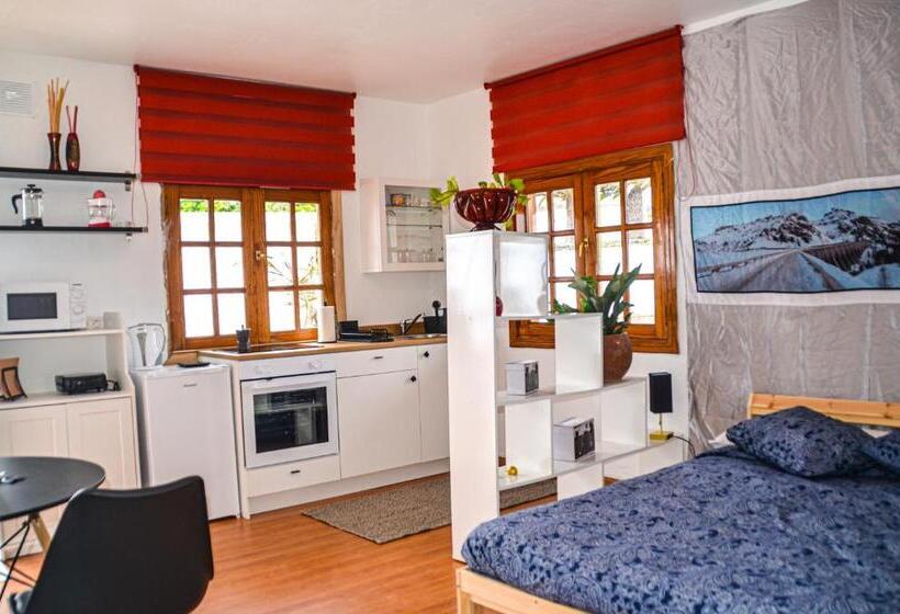 스탠다드 스튜디오, Rural Ga7colores Only Adult