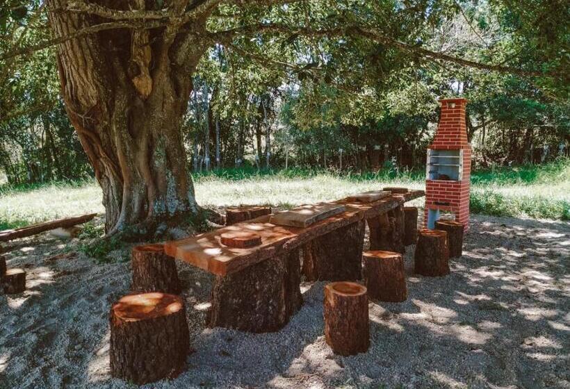 带阳台标准四人间, Ecaffe Hotel Pousada Container   Coqueiral Mg