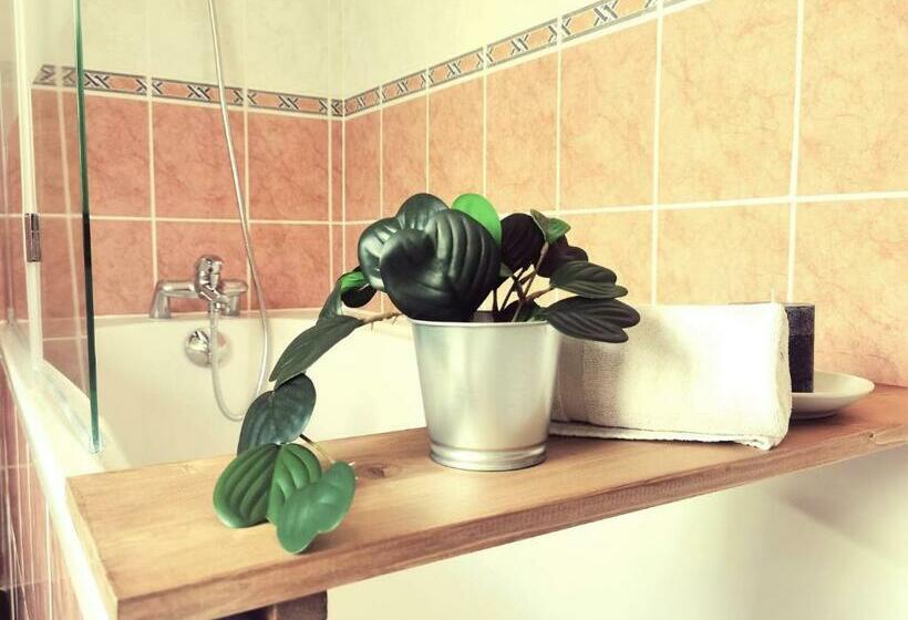 غرفة ديلوكس, Auberge De Chanteuges