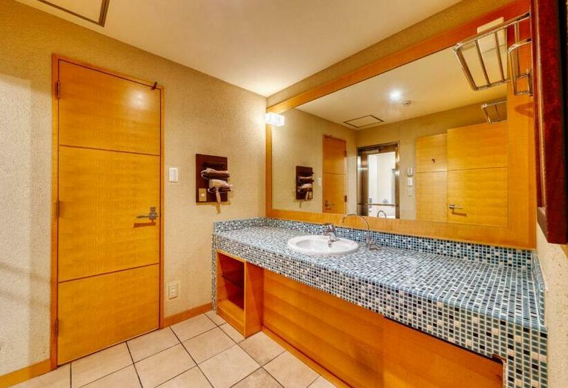 スタンダードルーム, Lotus Chiba  Adult Only