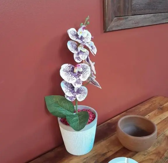 スタンダードバンガロー, Pousada Lotus