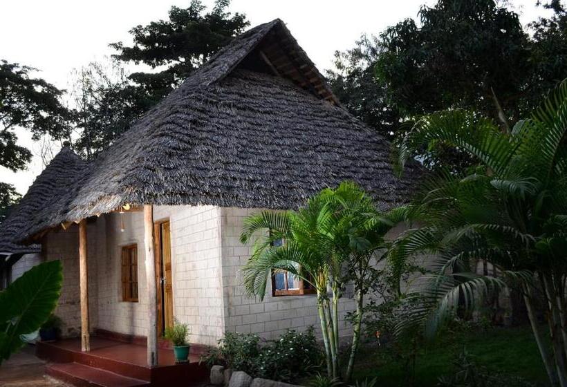 Номер Стандарт Вид на Сад, Charming Eco Homestay Near Kilimanjaro International Airport