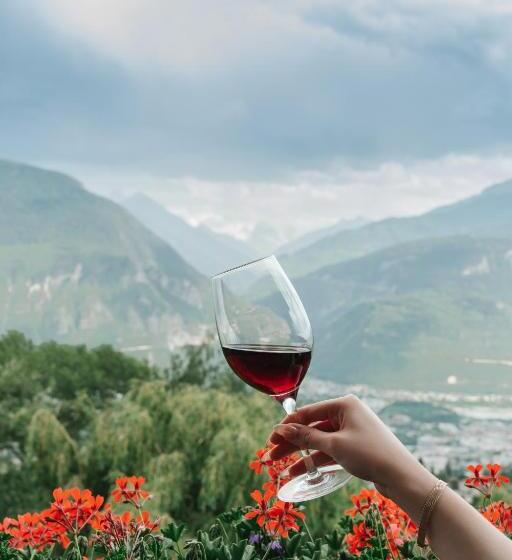 جناح جونيور عائلى, Boutique Hotel Panorama