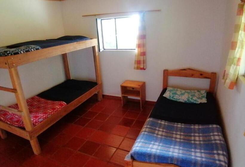 غرفة قياسية, Nuestro Bosque I