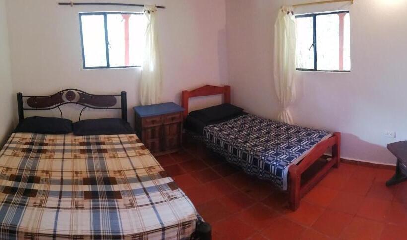 غرفة قياسية, Nuestro Bosque I