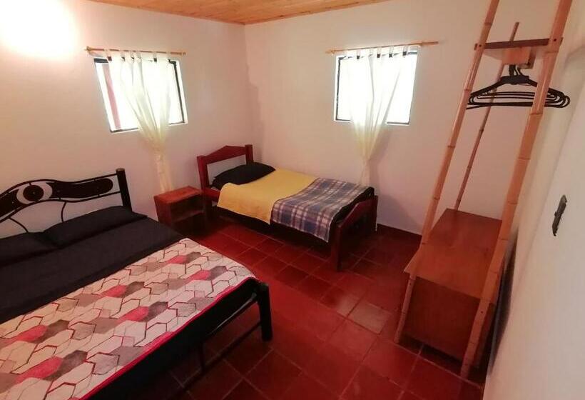 غرفة قياسية ثلاثية, Nuestro Bosque I