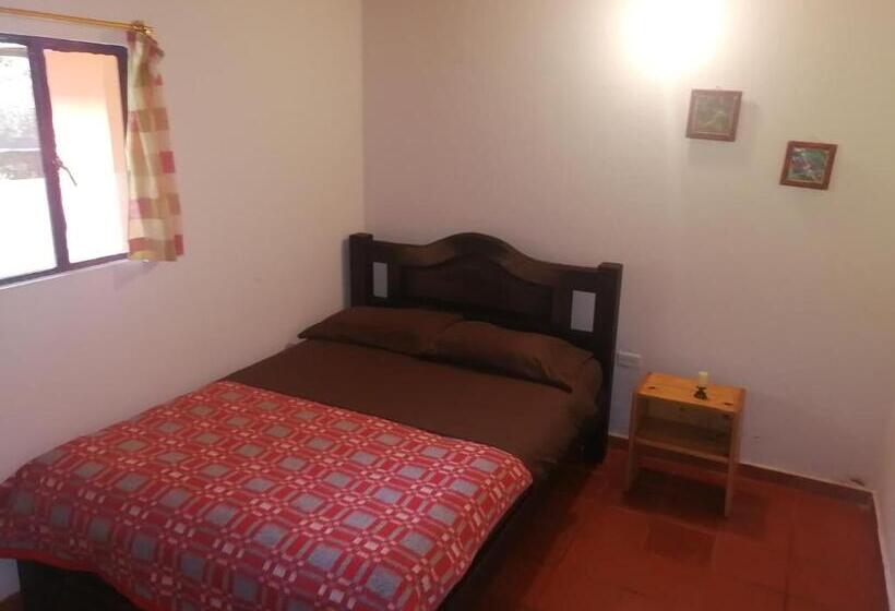 غرفة سوبيريور, Nuestro Bosque I