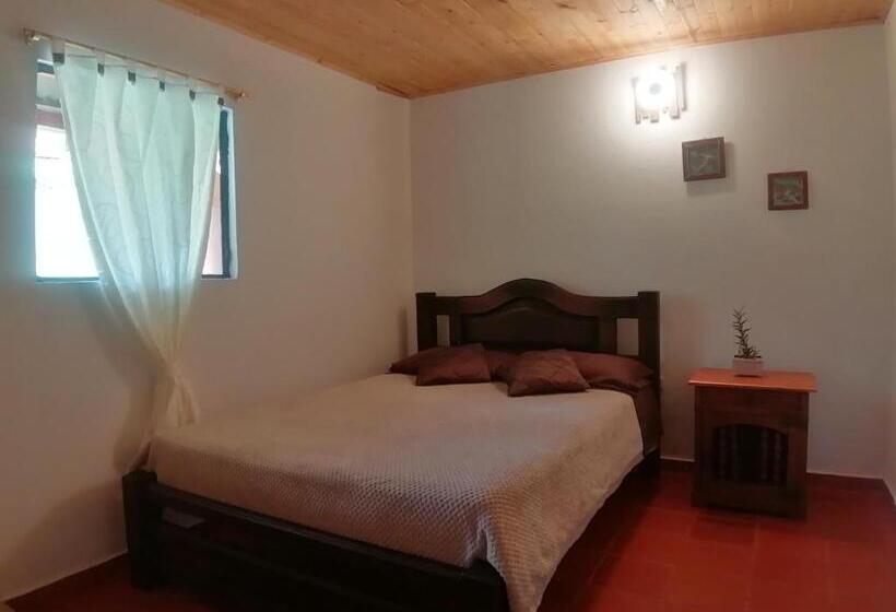 غرفة سوبيريور, Nuestro Bosque I