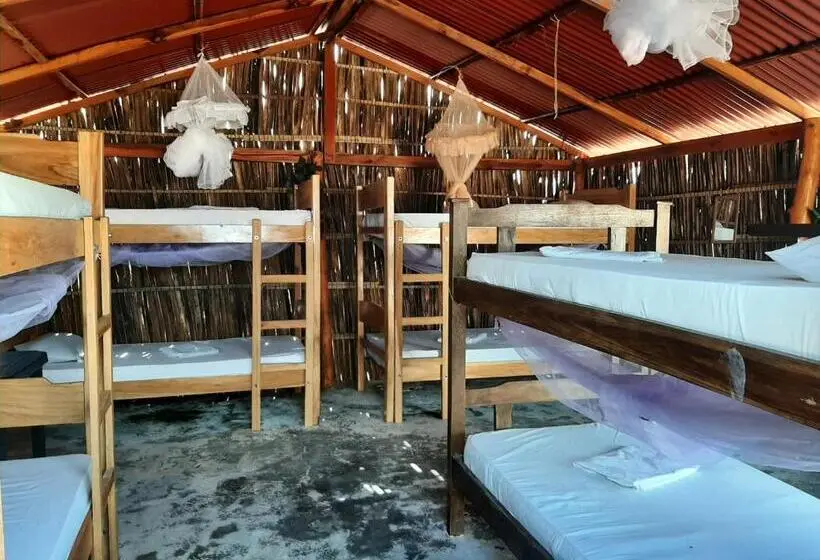 ルームシェアのワンベッド, Talata Hostal