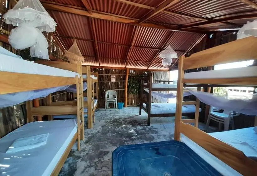 ルームシェアのワンベッド, Talata Hostal