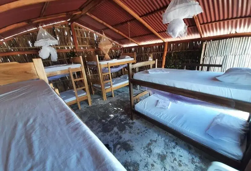 ルームシェアのワンベッド, Talata Hostal