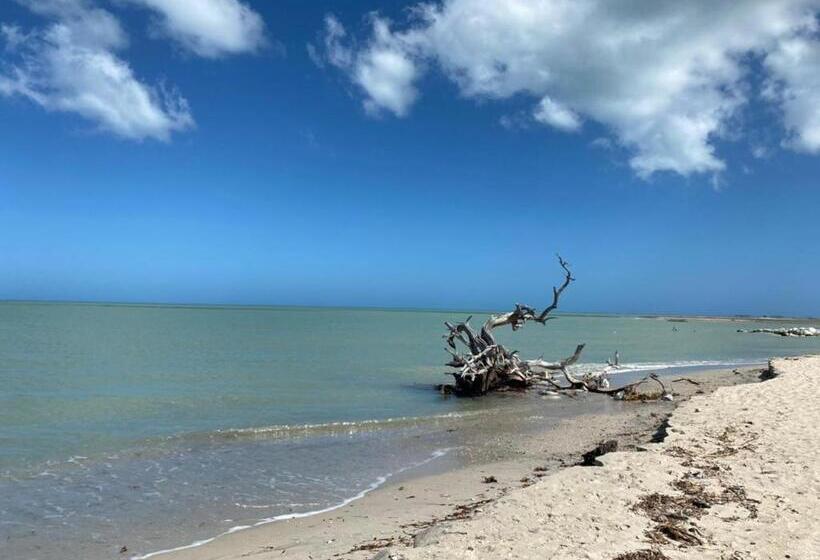 מיטה בחדר משותף, Talata Hostal