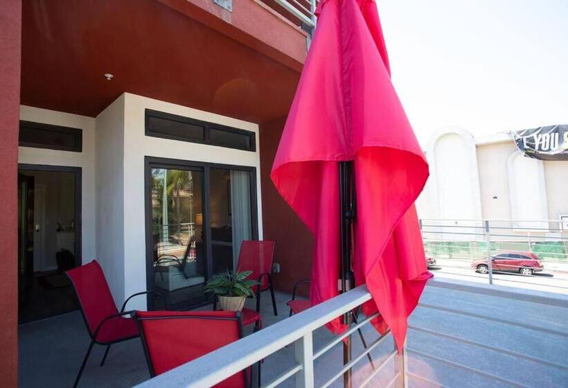 标准工作室, Spacious Studio With Incredible Balboa Park View