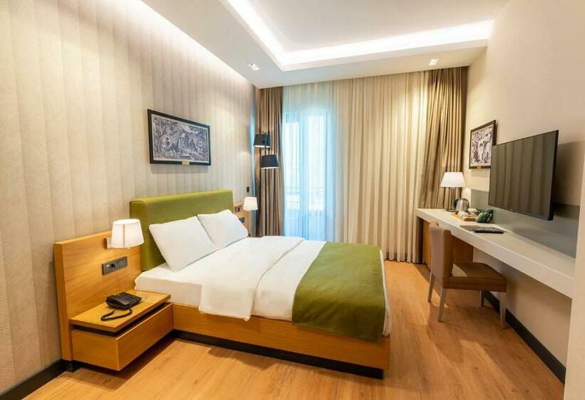 اتاق استاندارد یک نفره, Artes