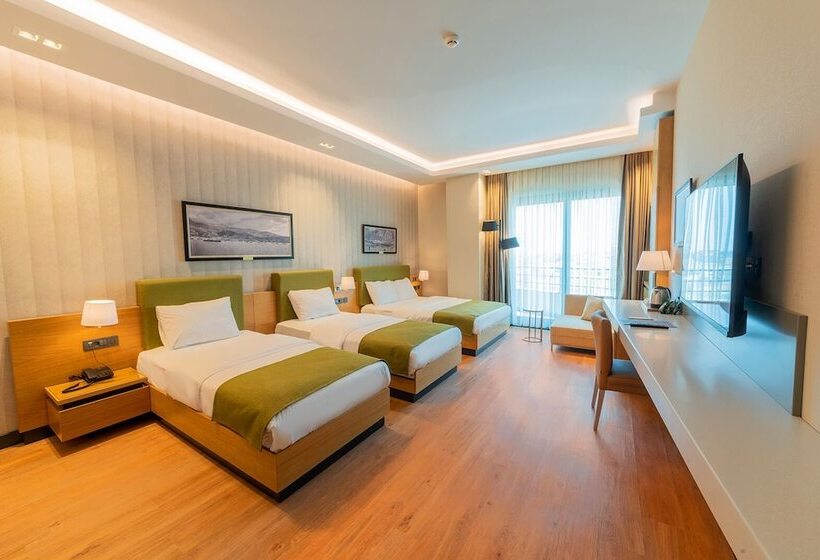 اتاق استاندارد, Artes