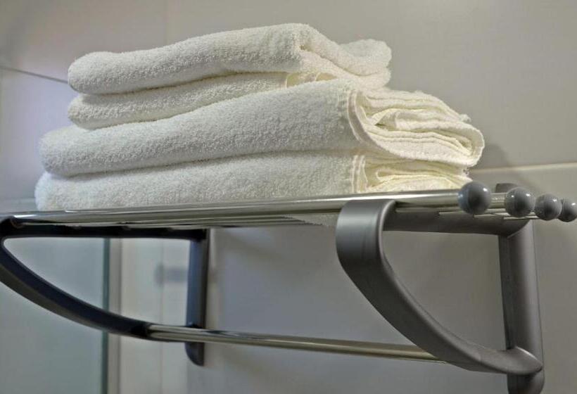 اتاق سوپریور, Trinidad Inn