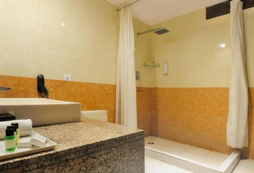 标准三人间, Zenith Hotel Delhi Airport