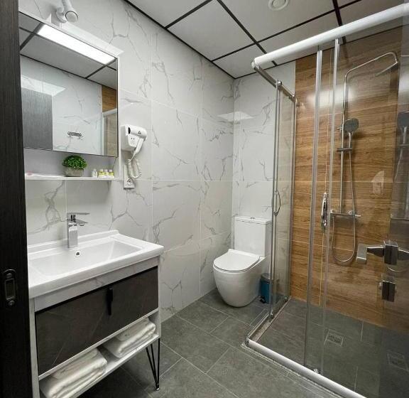 اتاق استاندارد, Alpha Plaza Hotel & Spa
