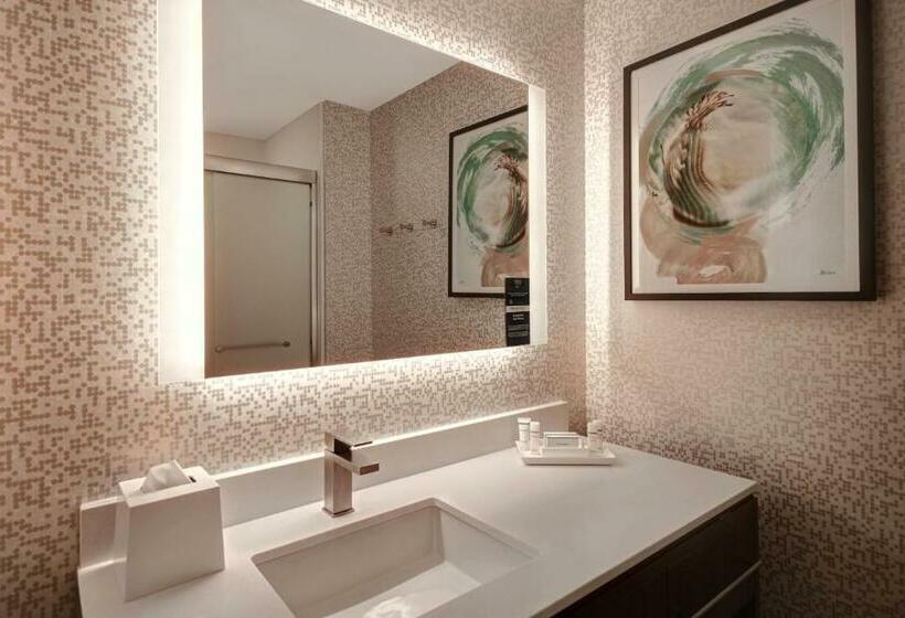 سوئیت با تخت بزرگ, Home2 Suites By Hilton Tucson Downtown