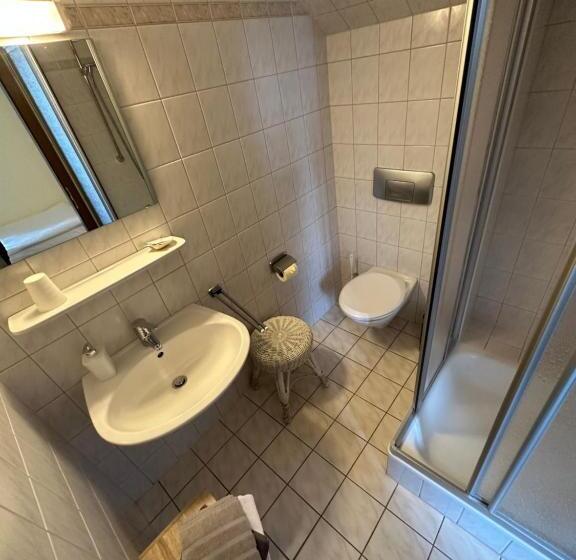 スタンダードシングルルーム, Almenrausch