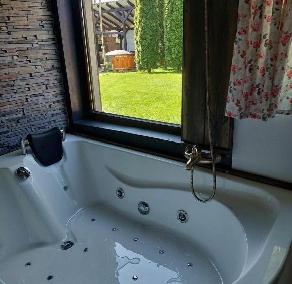 디럭스 룸, Vila Maria Săsciori Sebeş