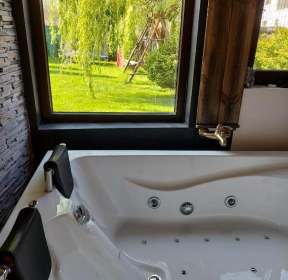 디럭스 룸, Vila Maria Săsciori Sebeş