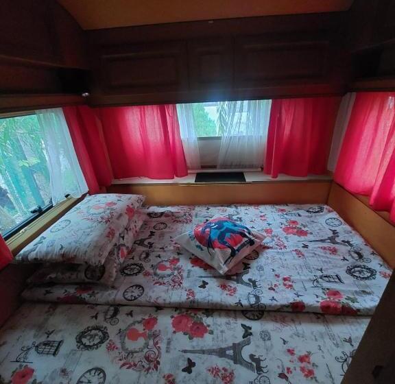 스탠다드 룸, Vila Maria Săsciori Sebeş