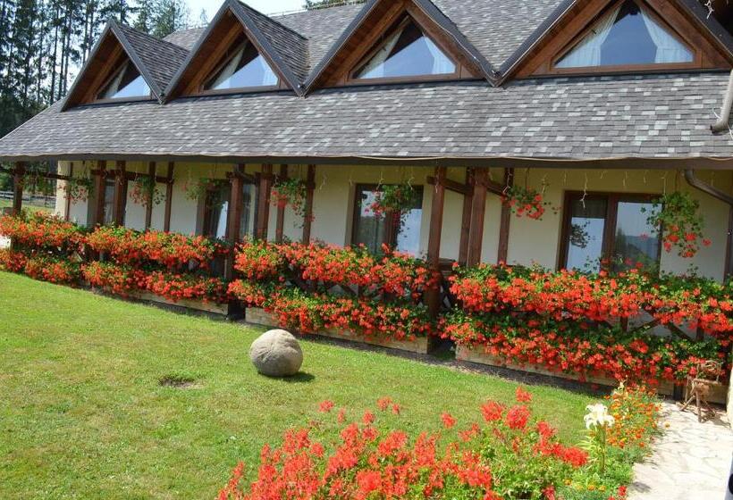 Номер Стандарт, Pensiunea Inima Bucovinei