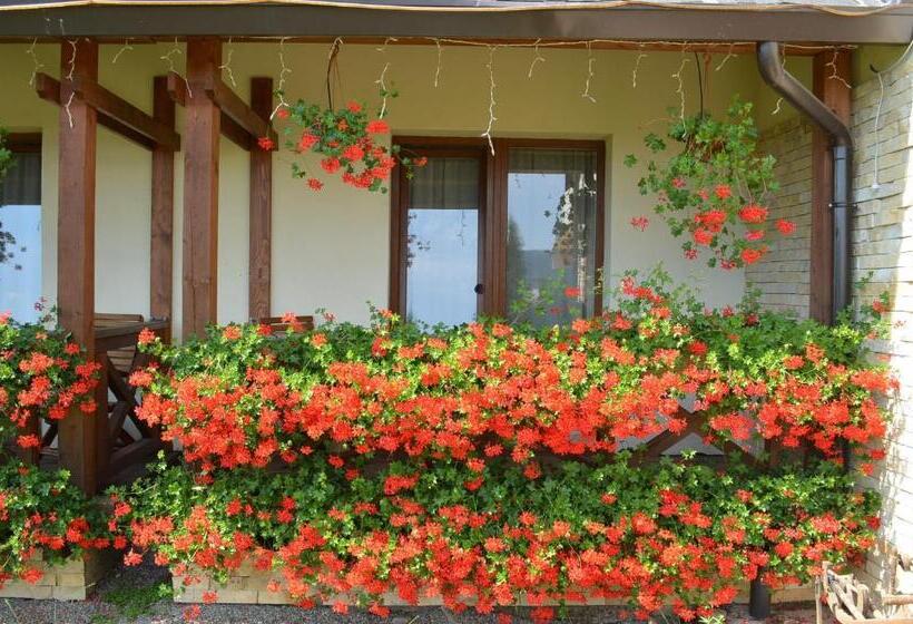 Номер Стандарт с Балконом, Pensiunea Inima Bucovinei