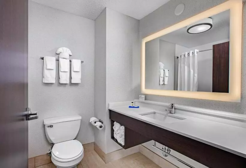 スイート, Holiday Inn Express Hotel & Suites Altoona Des Moines, An Ihg
