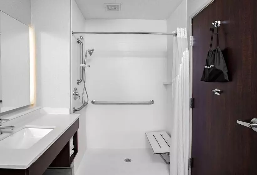 身障者適用スイートルーム, Holiday Inn Express Hotel & Suites Altoona Des Moines, An Ihg